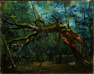 A Fallen Tree