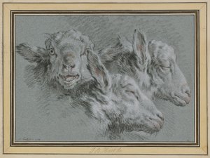 Three Sheep Heads, Awake and Sleeping