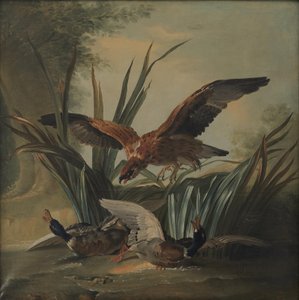 A Hawk Pouncing on a Pair of Ducks by Jean-Baptiste Oudry