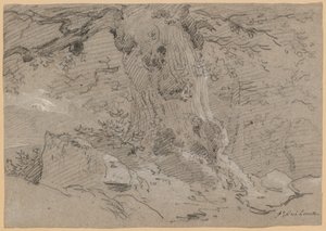 Study of Old Tree Trunk by Jean Antoine Linck