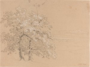 Sunlit Trees Before a Panoramic Landscape by Jean Antoine Linck