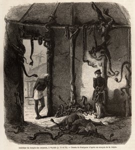 Inside the temple of fetish snakes, in Wydah, in Dahomey (present-day Benin), drawing by Jean Antoine Foulquier (1822-1896), to illustrate Dr. Repin