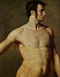 Male Torso