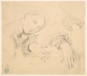 Sheet of Studies with the Head of the Fornarina and Hands of Madame de Senonnes by Jean Auguste Dominique Ingres