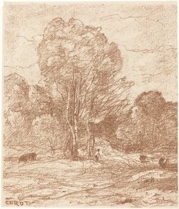 Drowsing Cattle