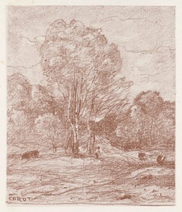 The Cow Pasture