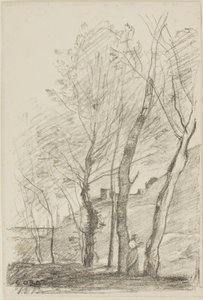 Reading Beneath the Trees