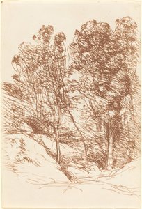 Souvenir of the Sole Valley