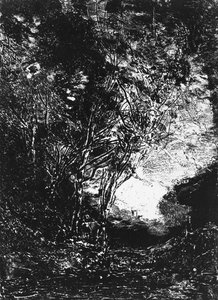 The Ambush
