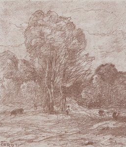 The Cows