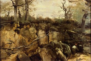 The edge of Fontainebleau forest