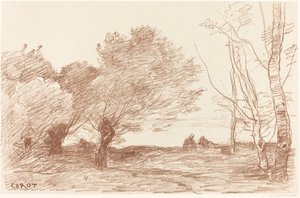 Willows and White Poplars