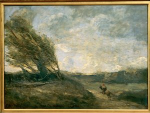 Windswept Landscape