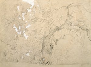 Young Man in Front of a Great Oak, c.1840 by Jean Baptiste Camille Corot