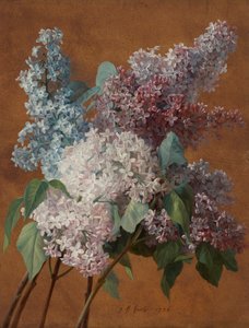 A Study of Lilacs by Jean Baptiste Huet