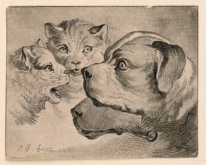 Heads of Cats and Dogs by Jean Baptiste Huet