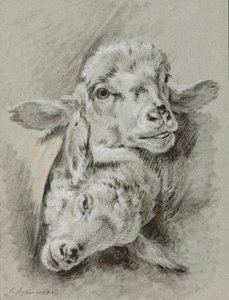 Study of Two Sheep, 1768