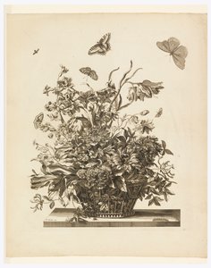 Plate 10, from set of Flowers in a Basket by Jean Baptiste Monnoyer
