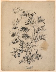 Bough of a Fantastic Tree, 1775–1800 by Jean Baptiste Pillement