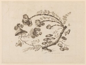 Flower Boughs, from "Collection of Different Fantasy Flowers in the Chinese Taste"
