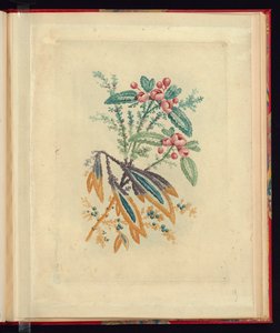Ornamental Design with Small Red Flowers and Berries, from Nouvelle suite de cahiers de flerurs naturelle a l