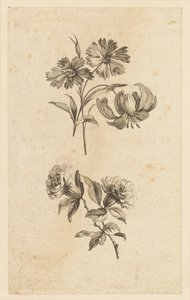 Two Flower Sprigs
