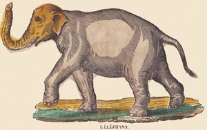 The Elephant, c.1840-1852