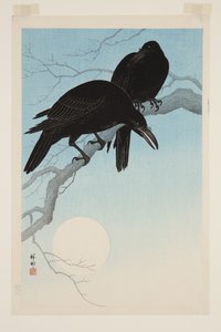 Crows in Moonlight