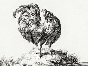 Chicken, Standing on a Hill by Jean Bernard
