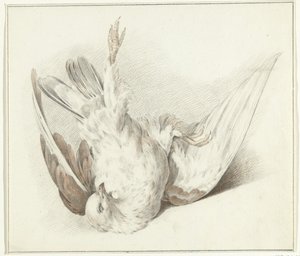 Dead Dove
