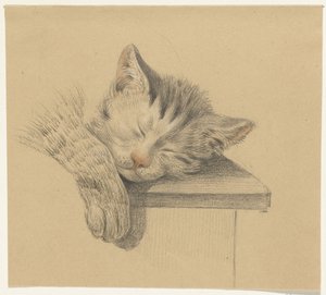 Head and Paw of a Sleeping Cat by Jean Bernard