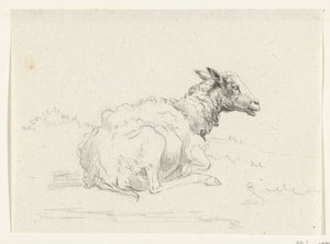Lying Sheep, to the right by Jean Bernard