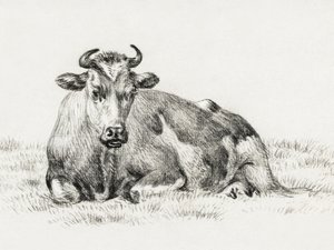 Lying Cow by Jean Bernard