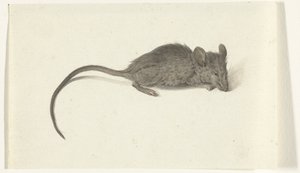 Mouse, Facing Right by Jean Bernard