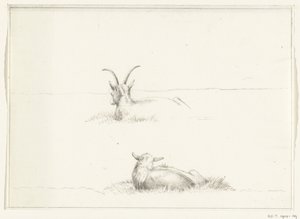 Sketches of a lying goat and a sheep, from behind by Jean Bernard