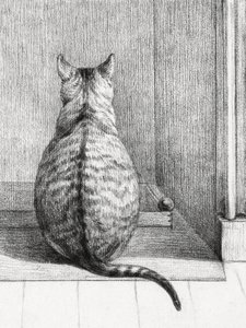 Sitting Cat, From Behind