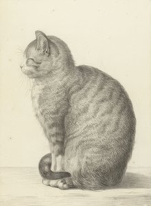 Sitting Cat, to the Left. 1815 by Jean Bernard