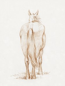 Standing Horse