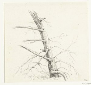 Study of a Tree by Jean Bernard