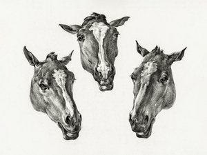Three Horse Heads by Jean Bernard