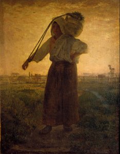 The Return of the Fields
