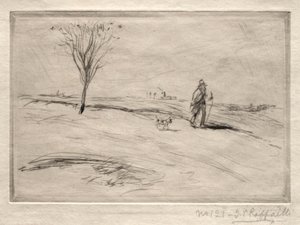 The Camel