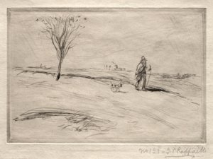 The Camel