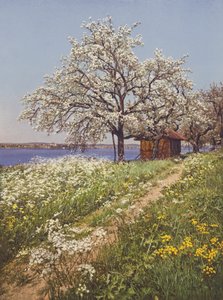 Switzerland: May-Time