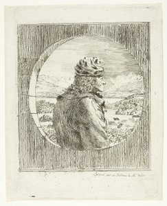 Voltaire Seen in Profile