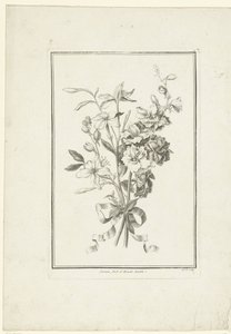 Bouquet of Jasmine and Larkspur by Jean Jacques Avril (I)