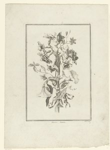 Bouquet of Narcissus and Bindweed, IIe Cahier de Bouquets (series title) by Jean Jacques Avril (I)