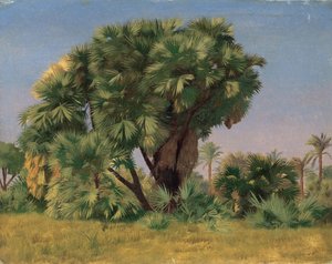 Study of Palm Trees by Jean Leon Gerome