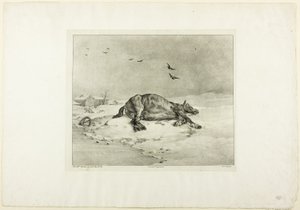 Dead Horse
