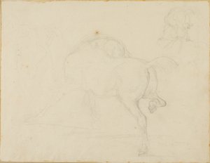 Study of a Horse Turning Its Head and Raising Its Hind Leg by Jean Louis André Théodore Géricault